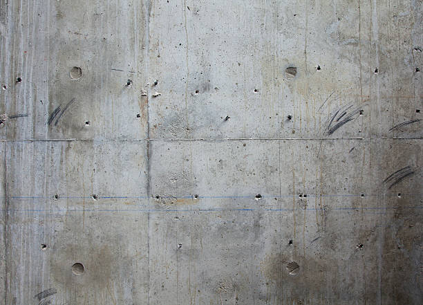 Best Custom Concrete Contractor  in Palisade, CO